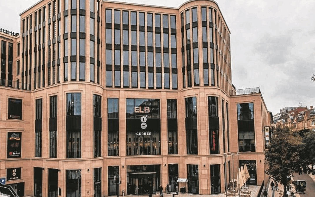 Ein Stück Birkenwäldle jetzt mitten im Gerber